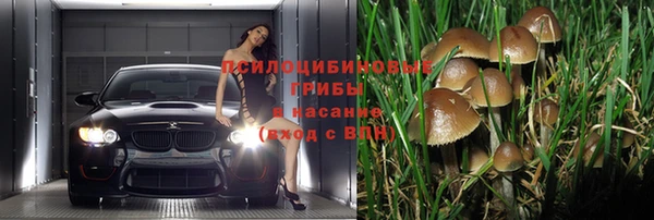прущая мука Козловка