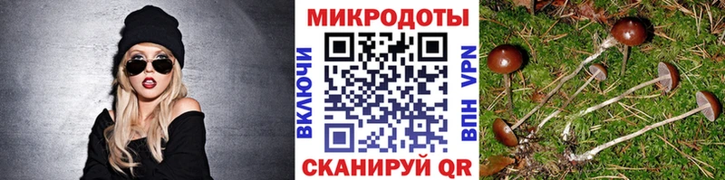 Галлюциногенные грибы Cubensis  купить наркотик  мориарти клад  Пушкино 