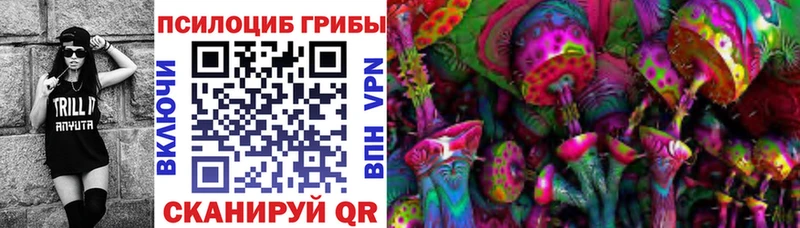 Псилоцибиновые грибы MAGIC MUSHROOMS Пушкино